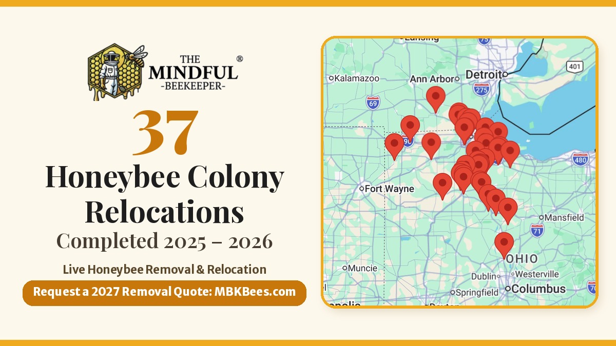 The Mindful Beekeeper graphic showing 37 honeybee colony relocations completed in 2025 and 2026, with a map of relocation sites across Northwest Ohio